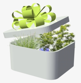 Flowerpot, HD Png Download, Transparent PNG