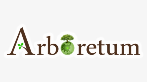 Tree, HD Png Download, Transparent PNG