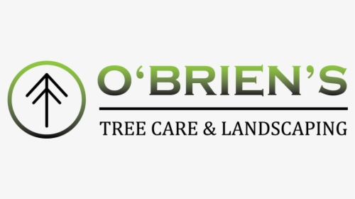 Obriens Logo Large - Parallel, HD Png Download, Transparent PNG
