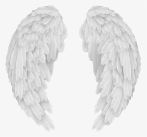 Vector Angel Wings Png Image - Transparent Background Angel Wings Png, Png Download, Transparent PNG