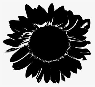Sunflower Drawing Transparent Background, HD Png Download, Transparent PNG