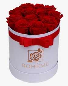 #valentinescards #roses #rose #flowers #floral #red - Floribunda, HD Png Download, Transparent PNG