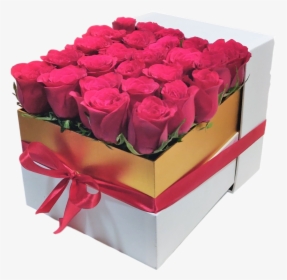 White Box 25 Red Roses Gift - Garden Roses, HD Png Download, Transparent PNG