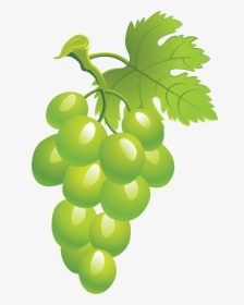 Grapes Clipart Green Grape Picture Png Image - Sultana, Transparent Png, Transparent PNG