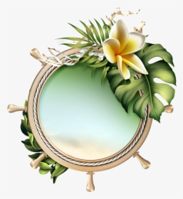 Back To Tropics Framed Wallpaper, Flower Clipart, Borders, HD Png Download, Transparent PNG