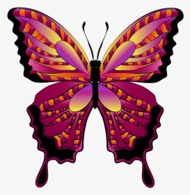 Transparent Flying Butterfly Clipart - Free Clipart Butterfly, HD Png Download, Transparent PNG