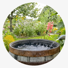 Collecting Rain Water , Png Download - Collecting Rainwater, Transparent Png, Transparent PNG