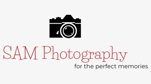 Picture Perfect Photography Png - Berlin, Transparent Png, Transparent PNG