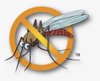 Mosquito Clipart Malaria Mosquito - Dengue Mosquito Clipart Png, Transparent Png, Transparent PNG