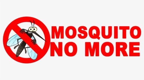 How To Get Rid Of Mosquitoes, HD Png Download, Transparent PNG