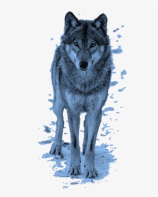 Wolf PNG Images, Transparent Wolf Image Download - PNGitem