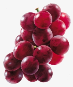 Thumb Image - Muscadine Grape Transparent Background, HD Png Download, Transparent PNG