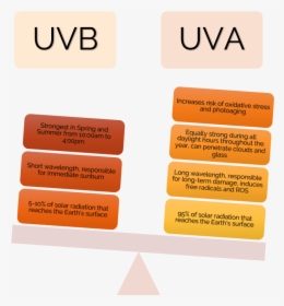 Uva Vs Uvb Comparison - Triangle, HD Png Download, Transparent PNG