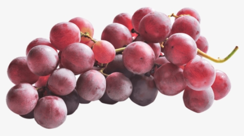 Uva Con Semi Red Globe - Seedless Fruit, HD Png Download, Transparent PNG