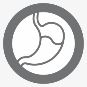 Circle, HD Png Download, Transparent PNG