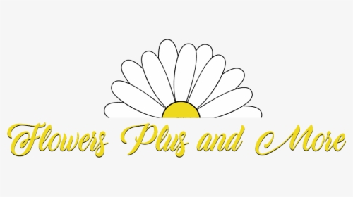 Flowers Plus & More Llc - Chamomile, HD Png Download, Transparent PNG