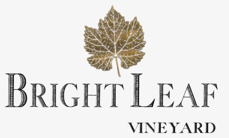 Logo Grape Leaves, HD Png Download, Transparent PNG