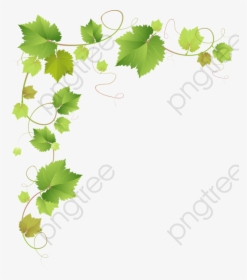 Vine Leaves Background, HD Png Download, Transparent PNG