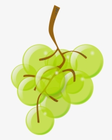 Plant,leaf,grapevine Family - Green Grape Clipart, HD Png Download, Transparent PNG
