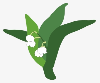Download Lily Of The Valley Png Pic - Lirio Do Vale Png, Transparent Png, Transparent PNG