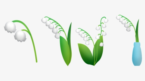 Lily Of The Valley, Lily In Vase, Lily Flowers, Leaves - Lirio De Los Valles Png, Transparent Png, Transparent PNG