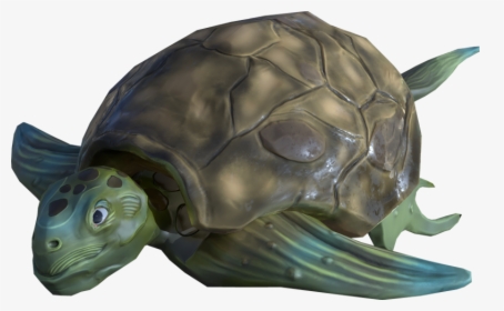 Tortoise, HD Png Download, Transparent PNG