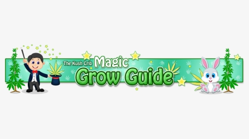 Grow Shop, HD Png Download, Transparent PNG