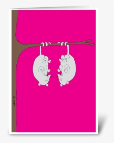 Hanging Possums Note Card Greeting Card - Illustration, HD Png Download, Transparent PNG