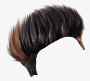 Lace Wig, HD Png Download, Transparent PNG