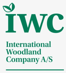 International Woodland Company - Graphic Design, HD Png Download, Transparent PNG