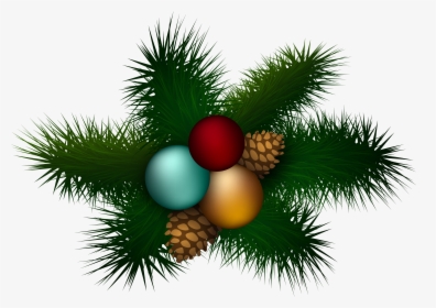 Transparent Pine Tree Top View Png - White Pine, Png Download, Transparent PNG