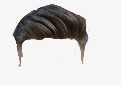 men S Hairstyle Png - Hair Style Man Sticker, Transparent Png , Transparent  Png Image - PNGitem