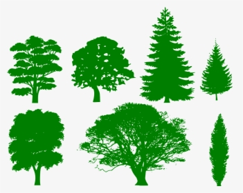 Various Tree Shape Silhouettes - Tree Shape, HD Png Download, Transparent PNG