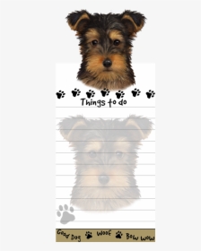 Yorkie Pup - Yorkshire Terrier, HD Png Download, Transparent PNG
