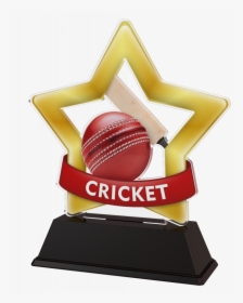 Mini Star Cricket Trophy - Well Done Medal Transparent, HD Png Download, Transparent PNG