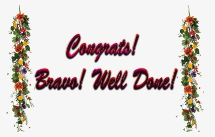 Congrats Bravo Well Done Png Free Image Download - Christmas Tree, Transparent Png, Transparent PNG
