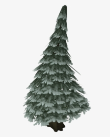 The Runescape Wiki - Christmas Tree, HD Png Download, Transparent PNG