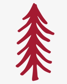 Christmas Tree - Spruce, HD Png Download, Transparent PNG