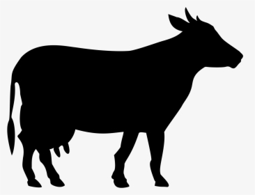 Cow Png Black And White, Transparent Png, Transparent PNG