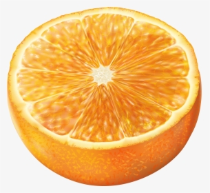 Half Orange Fruit Lime Slice Free Pnglogocoloring - Мандарин Клипарт, Transparent Png, Transparent PNG