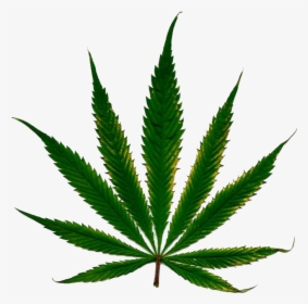 Marijuana Clipart Daun - Marihuana Png, Transparent Png, Transparent PNG