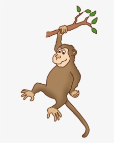 Monkey Arms Png - Monkey On Tree Png, Transparent Png, Transparent PNG