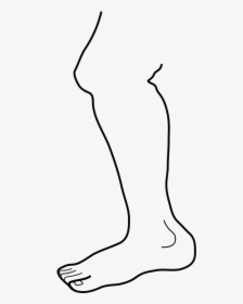 Chicken Leg Clip Art - Leg Clip Art, HD Png Download, Transparent PNG