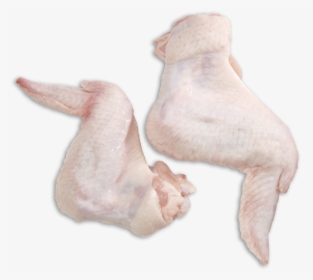 Fresh Chicken Wings Png, Transparent Png, Transparent PNG