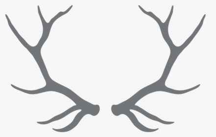 Clipart Free Download Antlers Transparent Black And - Transparent Background Antler Clipart, HD Png Download, Transparent PNG