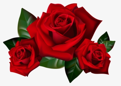 Red Rose Png Download - Red Roses Clip Art, Transparent Png, Transparent PNG