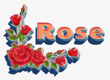 Rose Png Hd - Garden Roses, Transparent Png, Transparent PNG