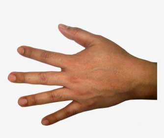Five Finger Hand Png Image - Back Of Hand Png, Transparent Png, Transparent PNG