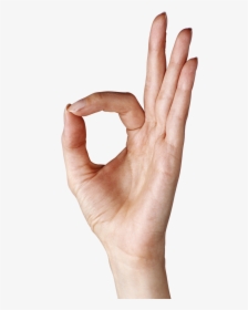 Hand Png Transparent - O Hand Sign Png, Png Download, Transparent PNG