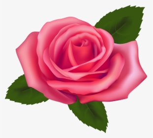 Beautiful Pink Rose Png Clipart - Clipart Rose Png Transparent, Png Download, Transparent PNG